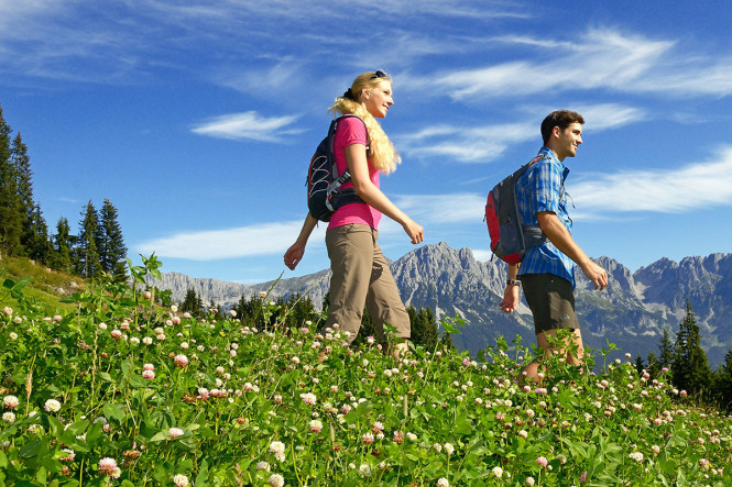 Zakopane - RegionTatry.pl - Narcyz Zakopane - RegionTatry.pl - Narcyz