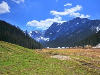 Zakopane - RegionTatry.pl - Dolina Małej Łąki Zakopane - RegionTatry.pl - Dolina Małej Łąki