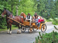 Zakopane - RegionTatry.pl - Kulig letni Jędruś Zakopane - RegionTatry.pl - Kulig letni Jędruś