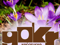 Zakopane - RegionTatry.pl - Gminny Ośrodek Kultury Regionalnej filia w Witowie Zakopane - RegionTatry.pl - Gminny Ośrodek Kultury Regionalnej filia w Witowie