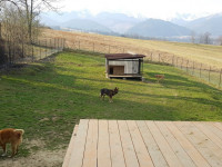 Zakopane - RegionTatry.pl - Hotel dla zwierząt Zoo Zakopane - RegionTatry.pl - Hotel dla zwierząt Zoo