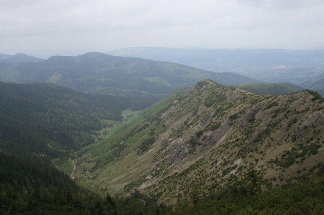 Dolina Jaworzynki Dolina Jaworzynki