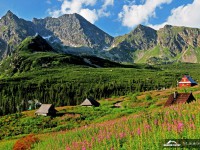 Zakopane - RegionTatry.pl - Dolina Gąsienicowa / Hala Gąsienicowa Zakopane - RegionTatry.pl - Dolina Gąsienicowa / Hala Gąsienicowa