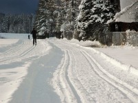 Zakopane - RegionTatry.pl - Trasa Biegowa w Kościelisku Zakopane - RegionTatry.pl - Trasa Biegowa w Kościelisku