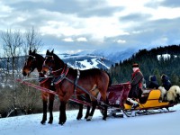 Zakopane - RegionTatry.pl - Kuligi w Bukowinie Tatrzańskiej Zakopane - RegionTatry.pl - Kuligi w Bukowinie Tatrzańskiej
