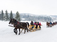 Zakopane - RegionTatry.pl - Kuligi - Dolinia Chochołowska i Krzeptówki Zakopane - RegionTatry.pl - Kuligi - Dolinia Chochołowska i Krzeptówki