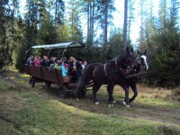 Zakopane - RegionTatry.pl - Kulig letni z pochodniami - TRIOTRAVEL Zakopane - RegionTatry.pl - Kulig letni z pochodniami - TRIOTRAVEL