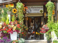Zakopane - RegionTatry.pl - Kwiaciarnia Cyperus Zakopane - RegionTatry.pl - Kwiaciarnia Cyperus