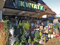 Zakopane - RegionTatry.pl - Kwiaciarnia Konwalia Zakopane - RegionTatry.pl - Kwiaciarnia Konwalia