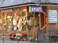 Zakopane - RegionTatry.pl - Kwiaciarnia Orlik Zakopane - RegionTatry.pl - Kwiaciarnia Orlik