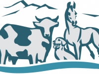 Zakopane - RegionTatry.pl - Gabinet weterynaryjny Lasak Vet Zakopane - RegionTatry.pl - Gabinet weterynaryjny Lasak Vet
