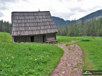 Zakopane - RegionTatry.pl - Dolina Olczyska Zakopane - RegionTatry.pl - Dolina Olczyska