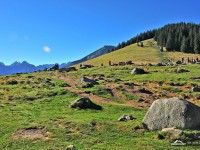 Zakopane - RegionTatry.pl - Rusinowa Polana Zakopane - RegionTatry.pl - Rusinowa Polana