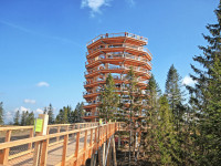 Zakopane - RegionTatry.pl - Ścieżka w koronach drzew Zakopane - RegionTatry.pl - Ścieżka w koronach drzew
