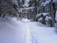 Zakopane - RegionTatry.pl - Trasa skitourowa z Doliny Strążyskiej Na Przełęcz w Grzybowcu Zakopane - RegionTatry.pl - Trasa skitourowa z Doliny Strążyskiej Na Przełęcz w Grzybowcu