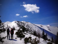 Zakopane - RegionTatry.pl - Trasa skitourowa z Dol. Chochołowskiej na Wołowiec 2 Zakopane - RegionTatry.pl - Trasa skitourowa z Dol. Chochołowskiej na Wołowiec 2