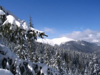 Zakopane - RegionTatry.pl - Trasa skitourowa z Dol. Chochołowskiej na Jarząbczy Wierch Zakopane - RegionTatry.pl - Trasa skitourowa z Dol. Chochołowskiej na Jarząbczy Wierch