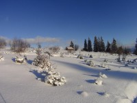 Zakopane - RegionTatry.pl - Trasa skitourowa z Witowa na Magurę Witowską Zakopane - RegionTatry.pl - Trasa skitourowa z Witowa na Magurę Witowską