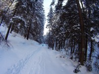 Zakopane - RegionTatry.pl - Trasa skitourowa z Doliny Małej Łąki do Doliny Tomanowej Zakopane - RegionTatry.pl - Trasa skitourowa z Doliny Małej Łąki do Doliny Tomanowej