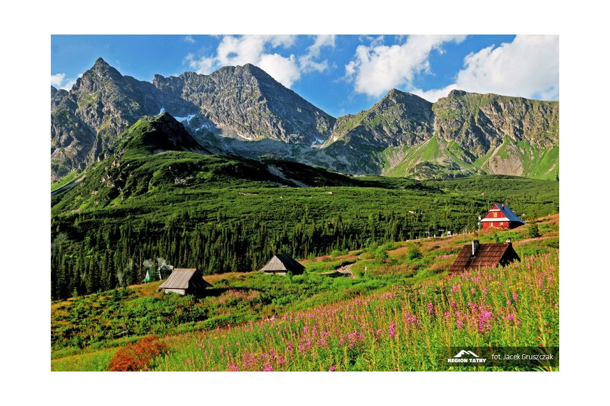 dolina-g-sienicowa-hala-g-sienicowa-dolina-tatry-region-tatry