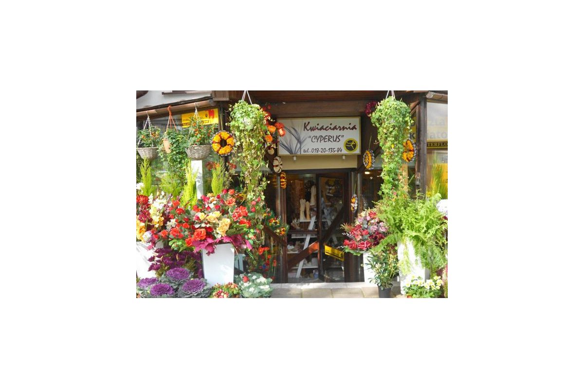 Kwiaciarnia Cyperus kwiaciarnia Zakopane Usługi, firmy lokalne