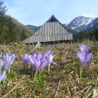 Dolina Jaworzynki Dolina Jaworzynka - doliny - dolina - Tatry