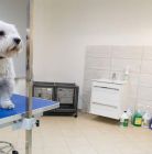 Salon Pielęgnacji Psów Dżeki, Nowy Targ Salon pielęgnacji psów Dżeki - dla zwierząt - salon pielęgnacji dla zwierząt - Nowy Targ
