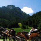 Kuligi letnie w Dolinie Chochołowskiej Kuligi letnie w Dolinie Chochołowskiej - jednodniowe - kulig letni - Zakopane