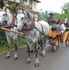Kulig letni Jędruś - Zakopane Kulig letni Jędruś - jednodniowe - kulig letni - Zakopane