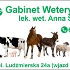 Gabinet weterynaryjny lek. wet. Anna Szeliga, Nowy Targ Gabinet weterynaryjny lek. wet. Anna Szeliga - dla zwierząt - weterynarz - Nowy Targ