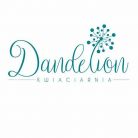 Kwiaciarnia Dandelion, Nowy Targ Kwiaciarnia Dandelion - kwiaty upominki pamiątki - kwiaciarnia - Nowy Targ