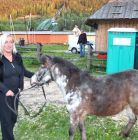 Jazda konna Zakopane Stadnina koni Jędruś - sport i rekreacja - jazda konna - Zakopane