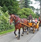 Kulig letni Jędruś - Zakopane Kulig letni Jędruś - jednodniowe - kulig letni - Zakopane