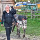 Jazda konna Zakopane Stadnina koni Jędruś - sport i rekreacja - jazda konna - Zakopane