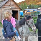 Jazda konna Zakopane Stadnina koni Jędruś - sport i rekreacja - jazda konna - Zakopane