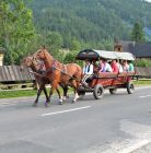 Kulig letni Jędruś - Zakopane Kulig letni Jędruś - jednodniowe - kulig letni - Zakopane