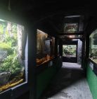 Podwodny Świat Zakopane Podwodny Świat Zakopane - dla dzieci - rozrywka i zabawa - Zakopane