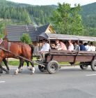 Kulig letni Jędruś - Zakopane