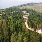 Wycieczka na spacer w koronach drzew z biurem Majer Spacer w koronach drzew z biurem Majer - jednodniowe - wycieczka na ścieżkę w koronach drzew - Zakopane