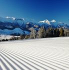 Bachledka Ski and Sun Bachledka Ski and Sun - narty - stacja narciarska - Zdziar