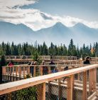 Spacer w koronach drzew i Szczyrbskie Jezioro z biurem Oto Tatry - jednodniowe - wycieczka na ścieżkę w koronach drzew - Zakopane