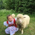 Centrum Edukacji Regionalnej Zakopane Centrum Edukacji Regionalnej - dla dzieci - zajęcia dla dzieci - Zakopane