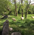 Centrum Edukacji Regionalnej Zakopane Centrum Edukacji Regionalnej - dla dzieci - zajęcia dla dzieci - Zakopane