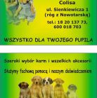 Sklep zoologiczny Zakopane Sklep zoologiczny Colisa - dla zwierząt - sklep zoologiczny - Zakopane