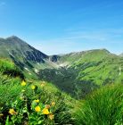 Dolina Jarząbcza Dolina Jarząbcza - doliny - dolina - Tatry