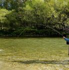 Tatra Fly Fishing- wyprawy wędkarskie Tatra Fly Fishing - wyprawy wędkarskie - sport i rekreacja - wędkarstwo - Zakopane