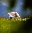 Jullita Chudko Photography+ - usługi - fotograf - Zakopane