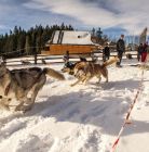 Tatra Przygoda imprezy integracyjne Zakopane i okolice Tatra Przygoda imprezy integracyjne - usługi - impreza integracyjna - Zakopane