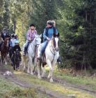 Jazda konna Stadnina Konsul - Zakopane - Kościelisko Stadnina koni Konsul - sport i rekreacja - jazda konna - Kościelisko
