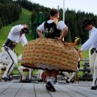 Karczma Nosal Zakopane Karczma Nosal - restauracje - restauracja - Zakopane